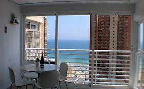 CABALLOS PREMIUM 16-F Levante Beach